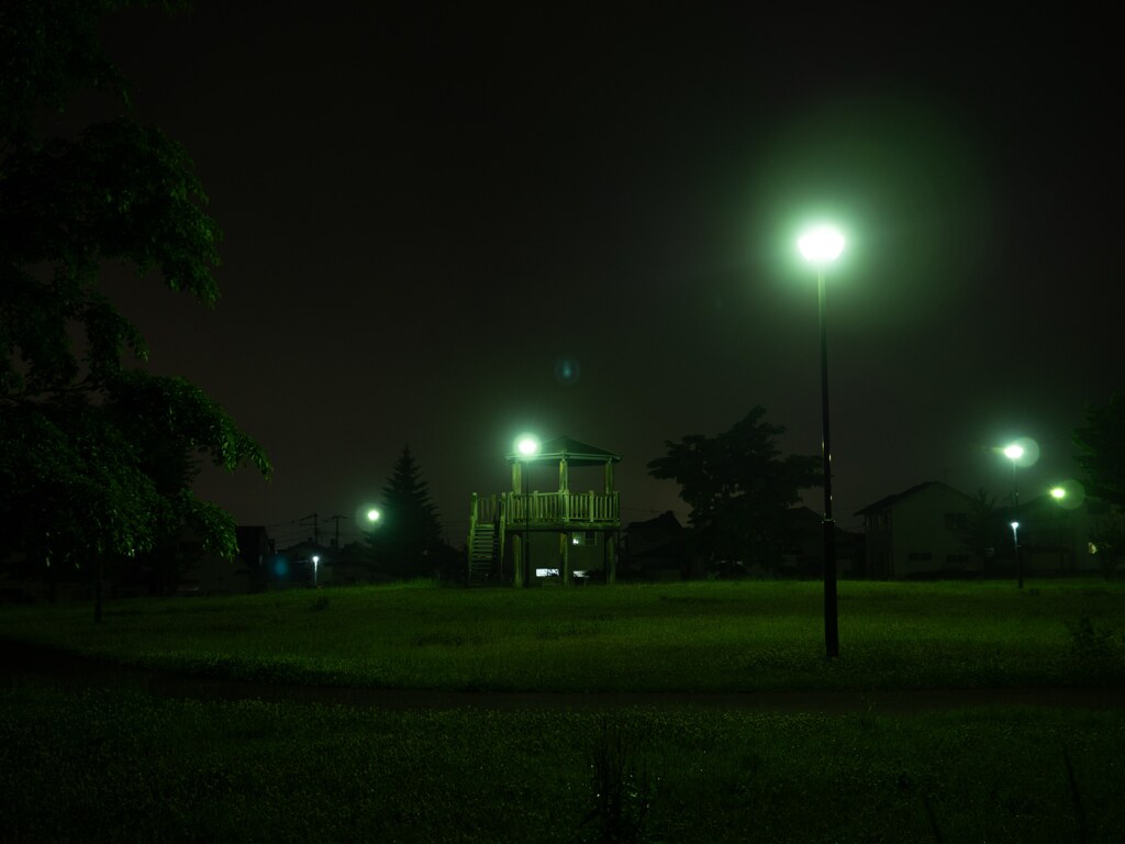 近所の公園