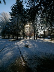 雪