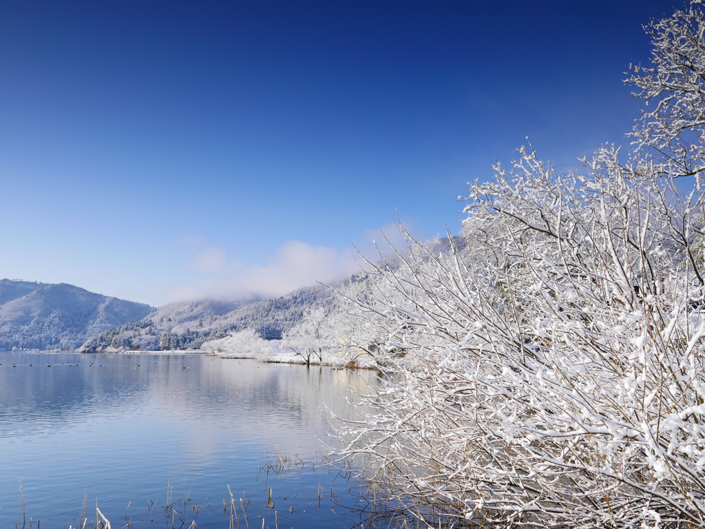 雪化粧その１