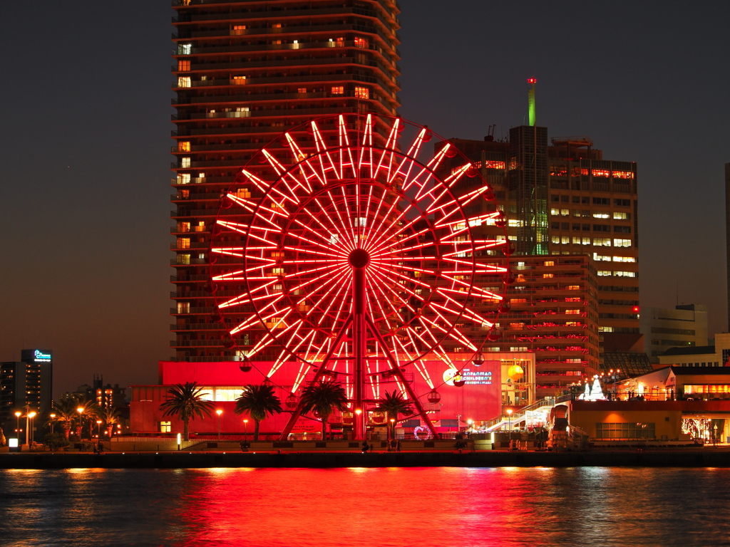 大きな紅いひまわり