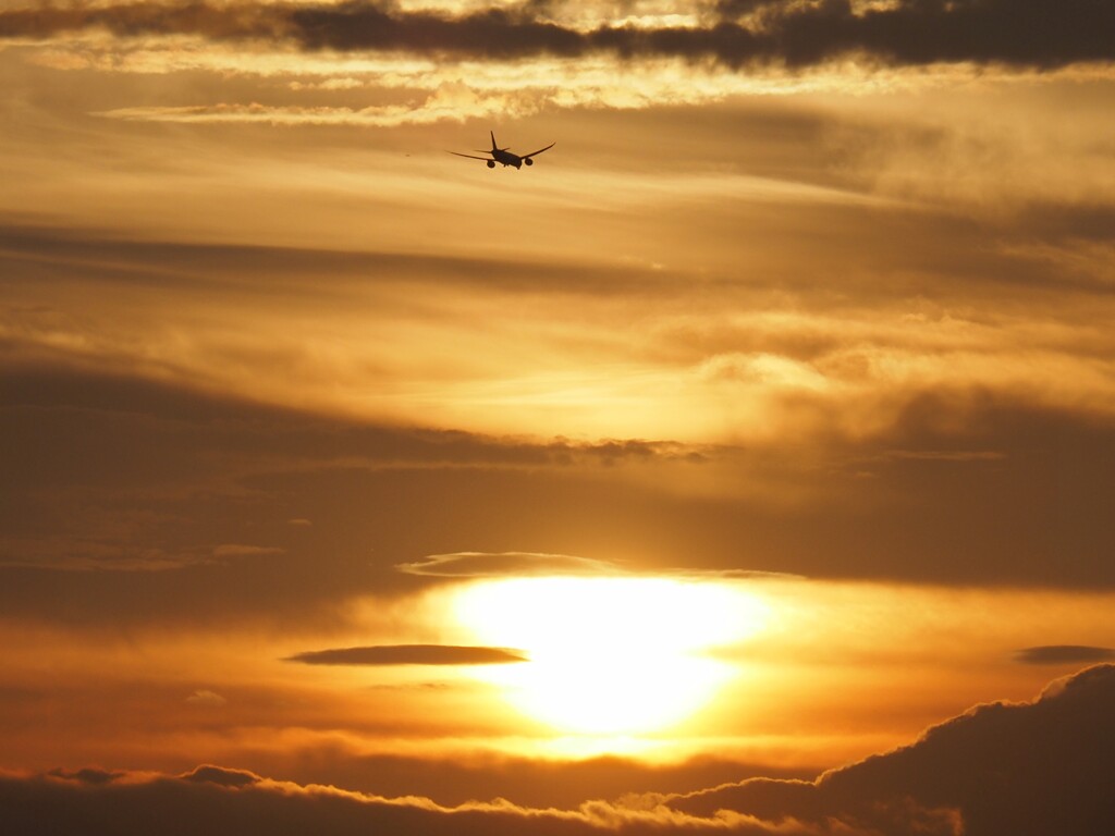 夕陽へのワンウェイチケット