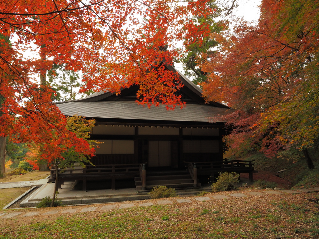 秋の寺