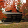 秋の寺