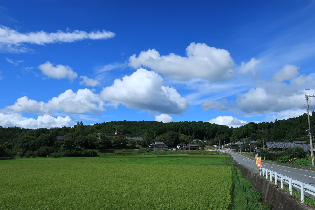 夏　空　道