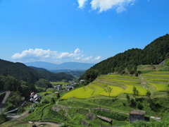 棚田と集落