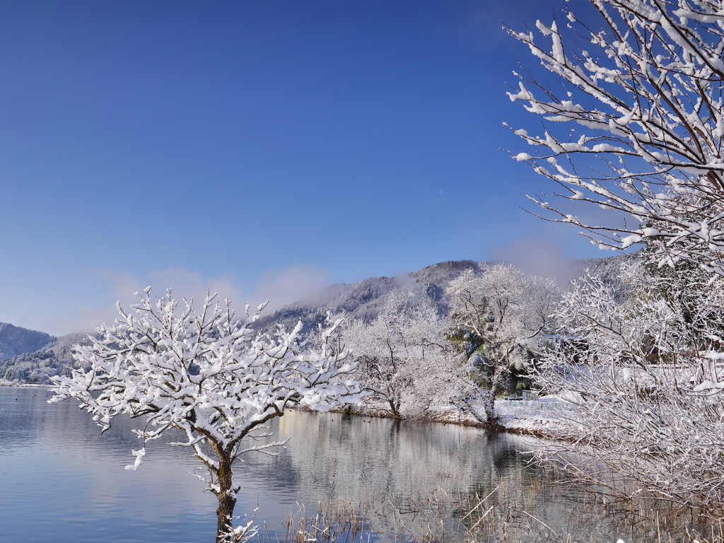 雪化粧その３