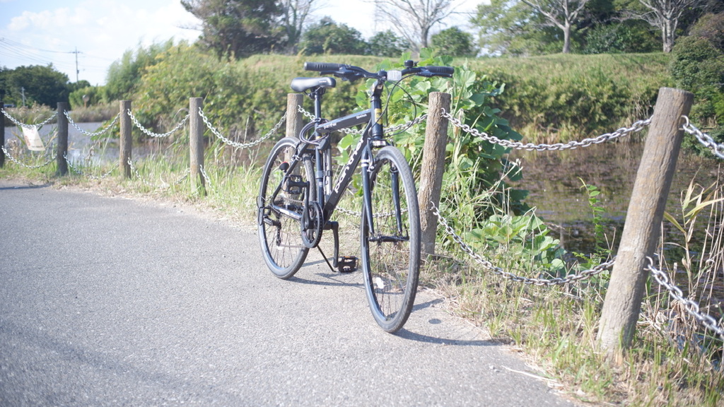 自転車買いました