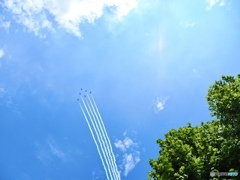 2021夏