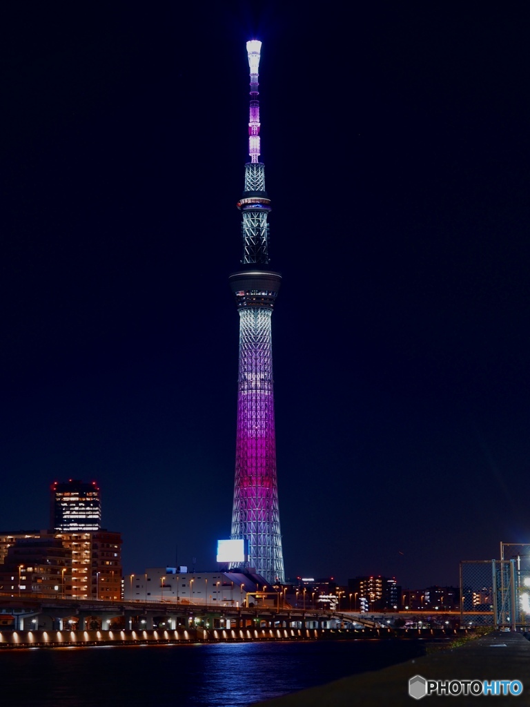 スカイツリー夜