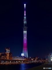 スカイツリー夜