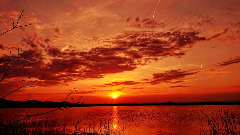 夕陽。
