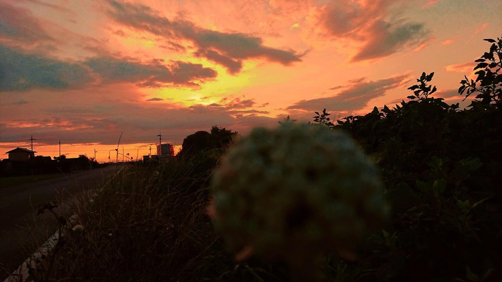 夕焼け