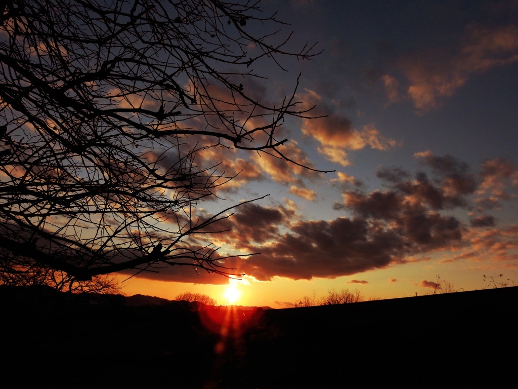 夕陽。