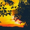 夕陽。