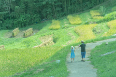 夏休み　房総