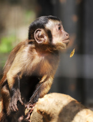 久しぶりに床屋さんに行ってきた」