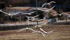 ２高度を下げて