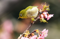 まだ、チョット寒い
