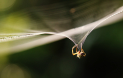 どこにこの設計図があるんだろう