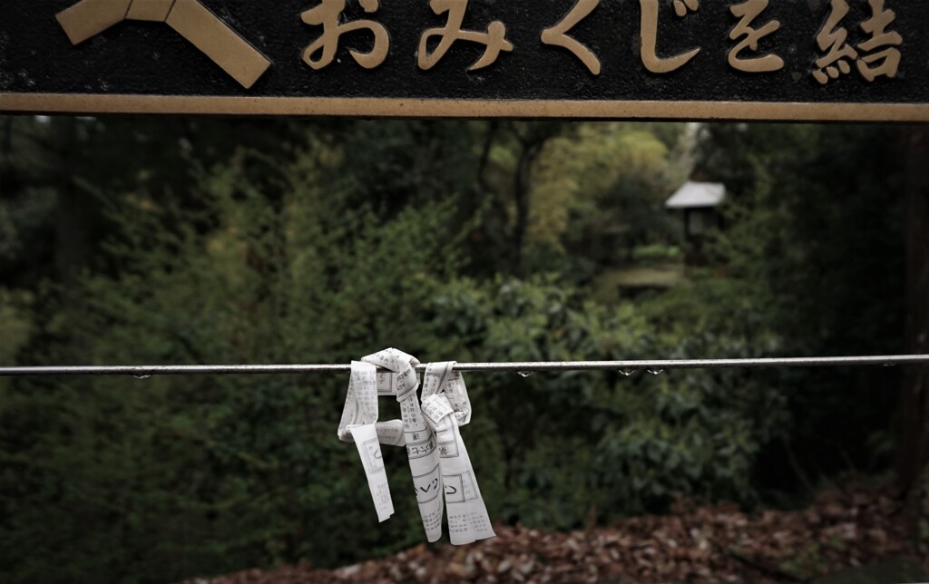 ２つのおみくじ･･･誰が来たんだろう･･･近くの小さなお寺で