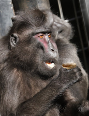 朝から呑んでた、新着見ながら