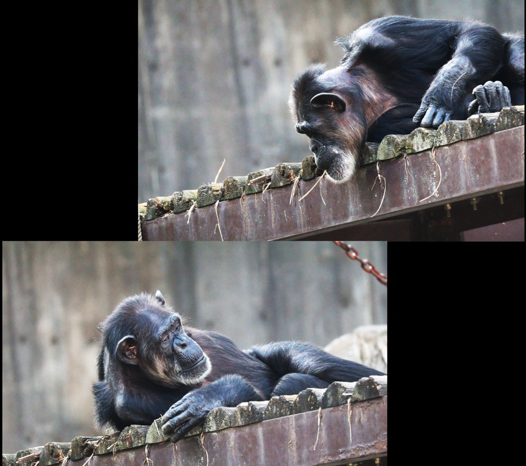 お～い、何してる？･･･起こすんじゃあねえよ(-_-;)