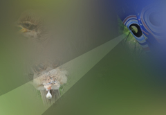 見ないでよ～[恥ずかしいじゃんか」