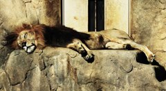 断食を始めて３０分