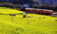 外房良よいとこ･･･小湊鐵道･･･石神１