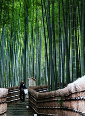 嵯峨野　日本寺