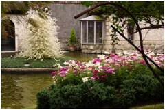 箱根･･･ガラスの森美術館１