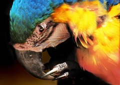 ガン付けたべ 「自分の顔を見てから言え」