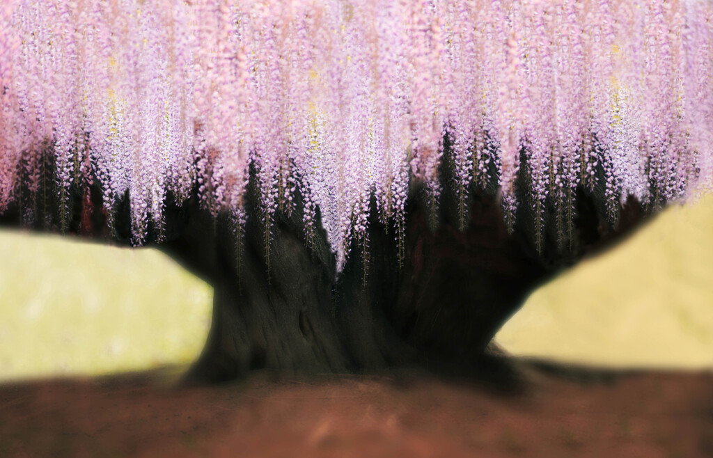 優勝杯･･･レタッチ作品です（背景を無地化、支柱を消去、ボカシ適宜）