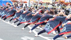 ヨサコイ･･･千葉は市原