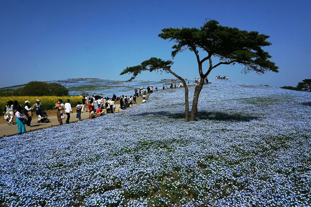 常陸那珂、海浜公園６