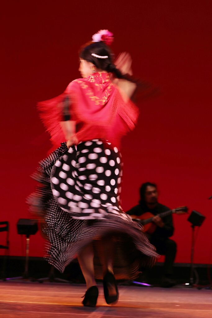 フラメンコ１０
