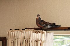 部屋に入った