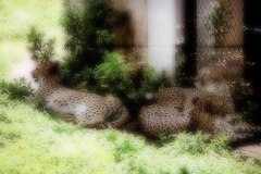 とにかく暑いので