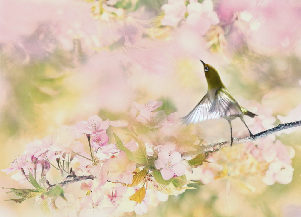 春の屏風