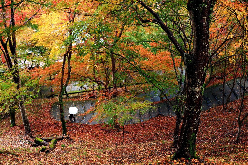 そうだ、京都出そう「神護寺」