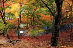 そうだ、京都出そう「神護寺」