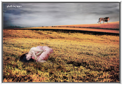 美瑛の幻想「[眠る女」