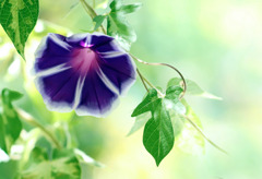 おはよう、今朝も爽やかな朝ですね