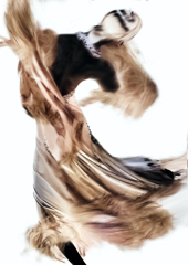 ダンス