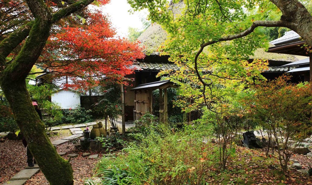京都5