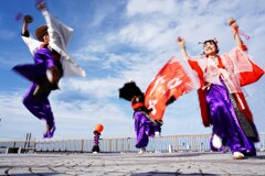 踊らにゃソンそん