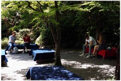 ぶらり京都･･･ここはどこ？日本？