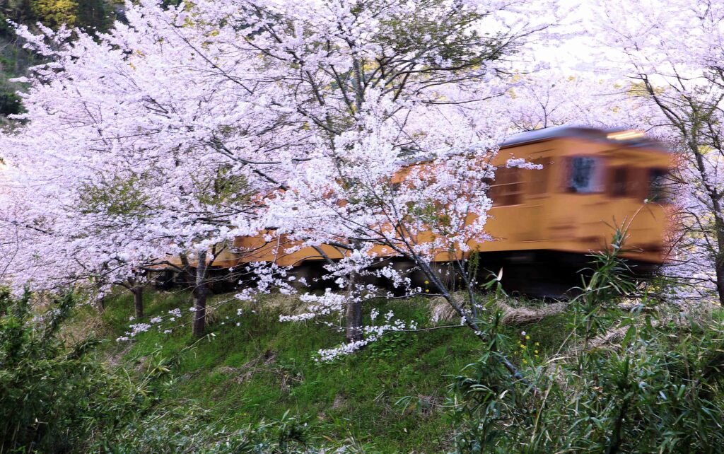 列車が走る･･･いすみ鉄道・総元