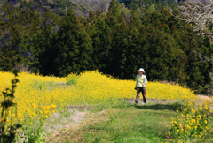 花に惹かれて２･･･房総は田淵の民家のお庭にて