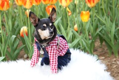 今売り出し中の若手タレント･･･常陸那珂海浜公園にて